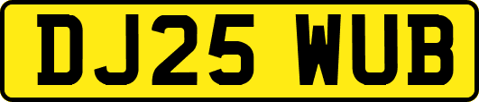 DJ25WUB