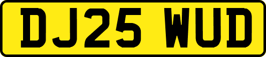 DJ25WUD