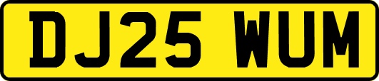 DJ25WUM