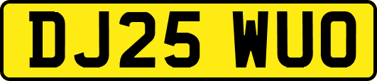 DJ25WUO