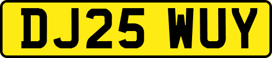 DJ25WUY