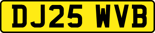 DJ25WVB