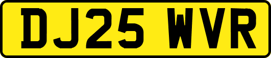 DJ25WVR