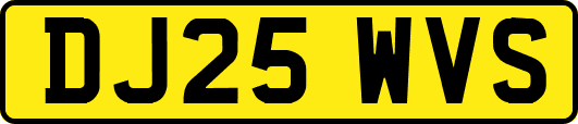 DJ25WVS