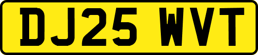 DJ25WVT