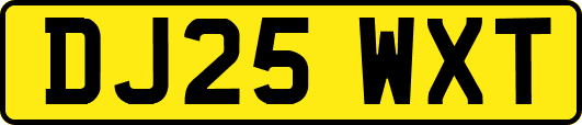 DJ25WXT