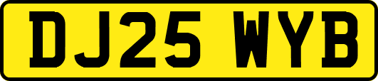 DJ25WYB