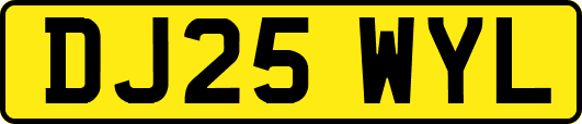 DJ25WYL