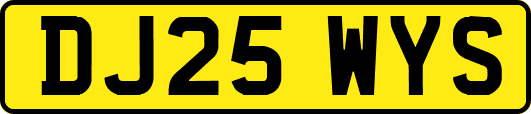 DJ25WYS