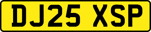 DJ25XSP