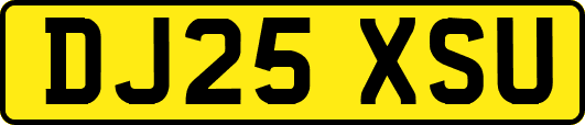 DJ25XSU