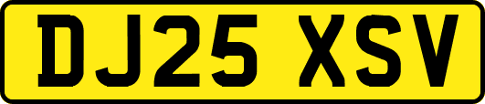 DJ25XSV