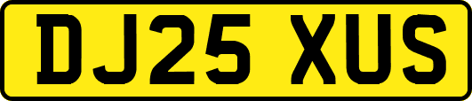 DJ25XUS