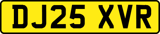 DJ25XVR
