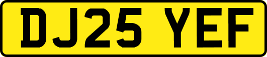 DJ25YEF
