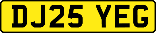 DJ25YEG