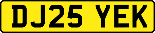 DJ25YEK
