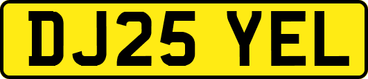 DJ25YEL