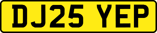 DJ25YEP