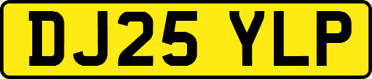 DJ25YLP