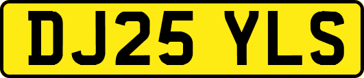 DJ25YLS