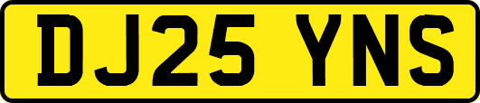 DJ25YNS
