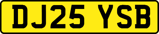 DJ25YSB