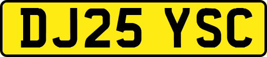 DJ25YSC
