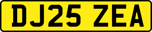DJ25ZEA