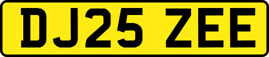 DJ25ZEE