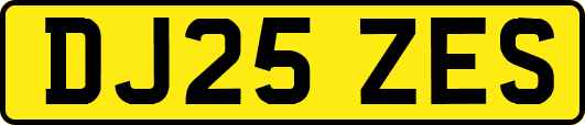 DJ25ZES