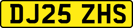 DJ25ZHS