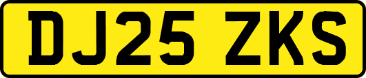 DJ25ZKS