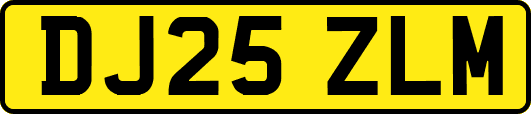 DJ25ZLM