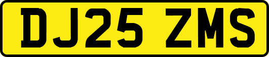 DJ25ZMS