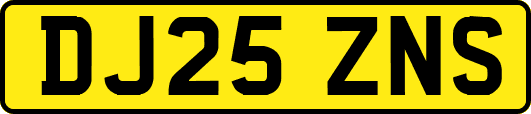 DJ25ZNS