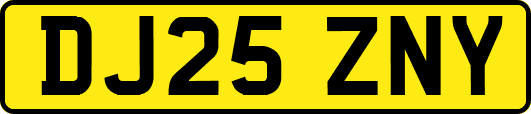 DJ25ZNY
