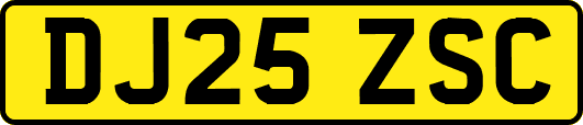 DJ25ZSC