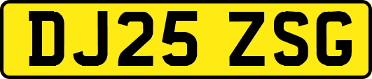 DJ25ZSG
