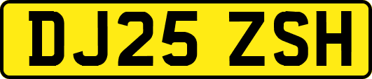 DJ25ZSH