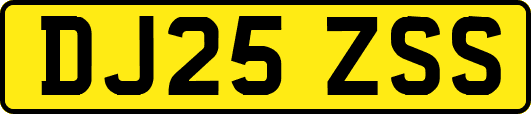 DJ25ZSS
