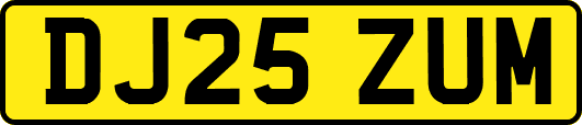DJ25ZUM