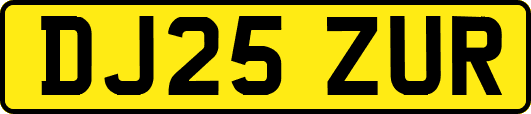 DJ25ZUR