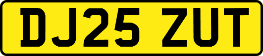 DJ25ZUT