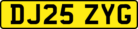 DJ25ZYG