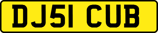 DJ51CUB