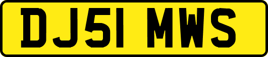 DJ51MWS