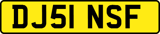 DJ51NSF