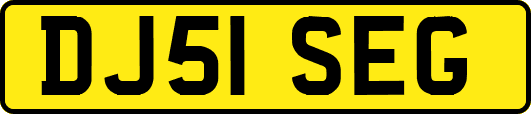 DJ51SEG