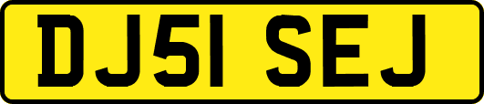 DJ51SEJ